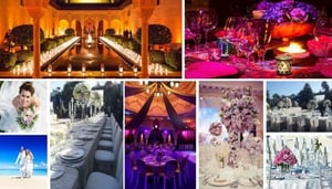 Euphoria Global Events