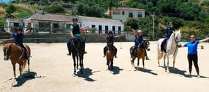 Happy Horse Riding Academy