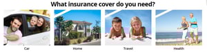 Ibex Insurance