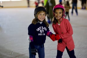 Ice Skating Rink