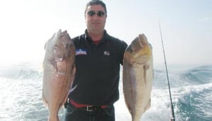 Luna Pesca Fishing Trips