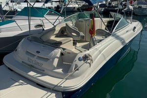 Marbella: Puerto Banus båttur med delfinskådning