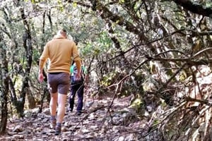 Marbella: Dagstur för vandring i Sierra de las Nieves nationalpark