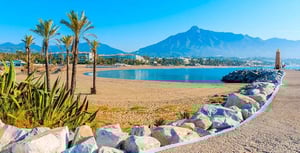 New Life - Luxury Rehab & Addiction Treatment