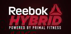 Reebok Hybrid