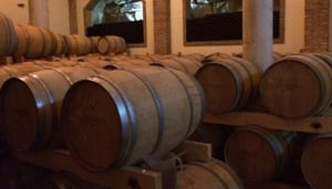 TrippyVines Wine Tours