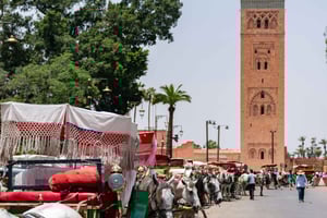 Marrakesh: Agafay-woestijn, quad, kamelenrit, diner en show