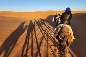 Aventure de 3 jours dans le désert : de Ouarzazate à Merzouga