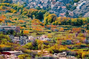 Marrakech: Souk Tour & Berber Hammam with Massage