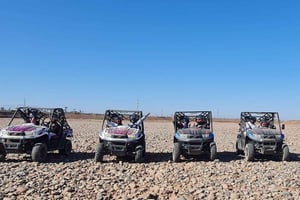 Buggy ride at the Palm Grove and Desert with swimming pool