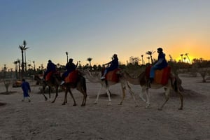 Marrakesch: Palmeraie Kamelreiten-Abenteuer