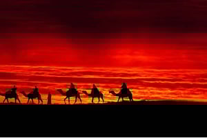 Passeio de camelo no deserto de Agafay + espetáculo de jantar com transporte incluído