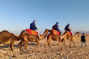 2 Tage Marrakesch Ait Ben Haddou Dadestal Affenfinger