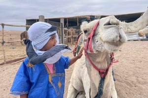 Giro in cammello nel deserto Palmeraie Marrakech