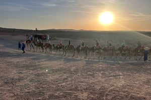 Balade à dos de chameau dans le désert avec dîner et spectacle
