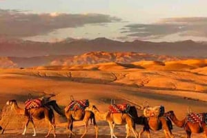 JANTAR NO DESERTO DE AGAFAY SOB AS ESTRELAS COM ESPETÁCULO E CAMELOS