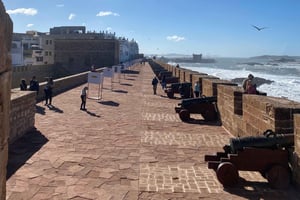 Essaouira City & old Town day Trip from Marrakech