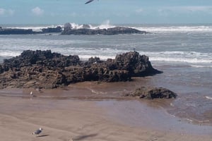 マラケシュからエッサウィラへの日帰り旅行（送迎付き