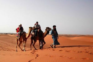 Z Fezu: 2-dniowa luksusowa wycieczka na pustynię do Marrakeszu i z powrotem do Fezu