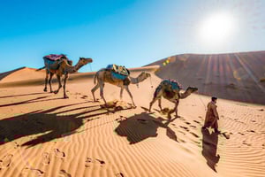 De Fez a Marrakech: tour de 3 días para descubrir el desierto del Sáhara