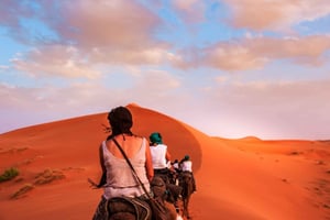 Från Marrakech: 2-dagars Sahara-ökenresa till Fes eller Marrakech