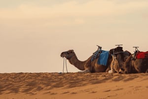 Kolmen päivän Sahara-kierros Merzougaan Marrakechista