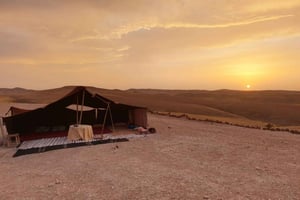 Marrakech: Ourika-dalen, fosser, Atlasfjellene, guide og lunsj