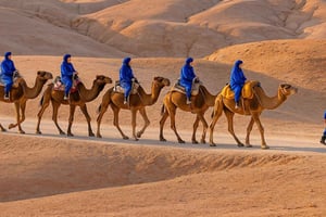 Marrakechista: Agafay Sunset Camel Tour with Dinner & Show: Agafay Sunset Camel Tour with Dinner & Show