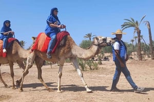 Marrakechista: Kameliratsastus palmulehdossa