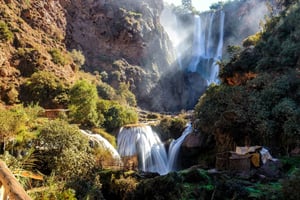 Desde Marrakech: Excursión de un día a las Cascadas de Ouzoud
