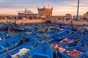 From Marrakech: Essaouira Coastal Escape with Free Time