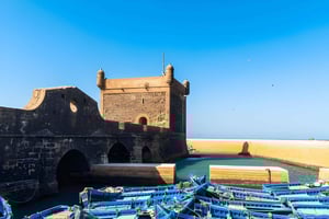 Da Marrakech: Escursione a Essaouira con cammello, cavallo e quad