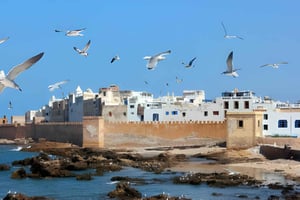Från Marrakech: Privat heldagstur till Essaouira