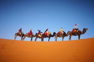 マラケシュ発：3日間限定 砂漠ラグジュアリーツアー；クワッド＆ラクダ体験