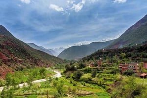 Au départ de Marrakech : Vallée de l'Ourika et cascades de l'Atlas