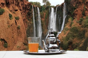 Vanuit Marrakech: Ouzoud watervallen begeleide wandeling en boottocht