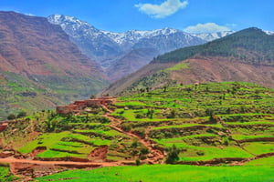 From Marrakech: Private Atlas Mountains Day Trip