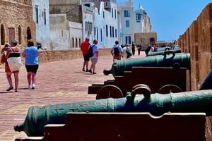 From Marrakech: Small Group Day Trip to Essaouira & Beach