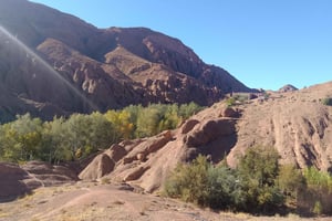 Z Marrakeszu: 2-dniowa wycieczka do Ait-Ben-Haddou i doliny Dades