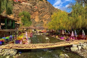 Marrakesh: Ourika-rivier, wandeltocht naar watervallen, gids en lunch