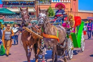 Marrakech: Visita tradicional de 1 hora en coche de caballos