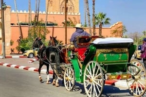 Marrakech: Visita tradicional de 1 hora en coche de caballos