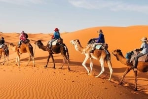 Marrakech: 3-Day Merzouga and Sahara Desert Tour