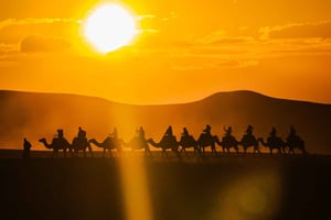 Marrakech : balade à dos de chameau dans le désert d'Agafay, dîner-spectacle et accès à la piscine
