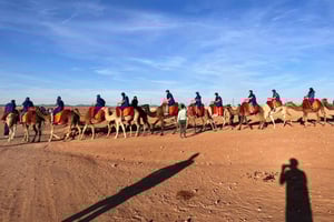 Lujo en el desierto de Agafay: quad, paseo en camello, piscina y cena con espectáculo.