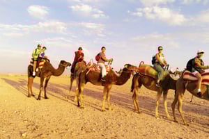 Из Марракеша: полный день в Атласских горах с обедом