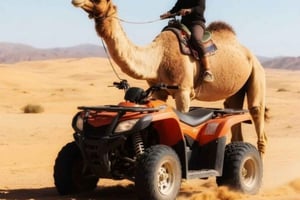 Marrakech: excursión al desierto de Agafay con actividades y cena
