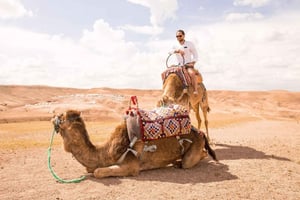 Marrakech: Atlasbergen, berberbyar och dalar