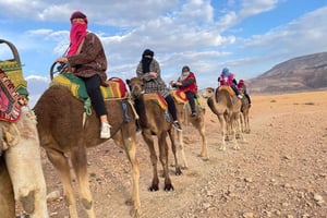 Marrakech: Montagne dell'Atlante, giro in cammello, cascate e pranzo