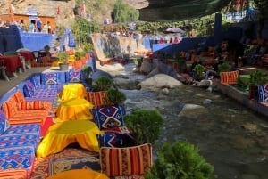 Marrakech: Atlasbergen, Ourika-dalen, vattenfall och lunch